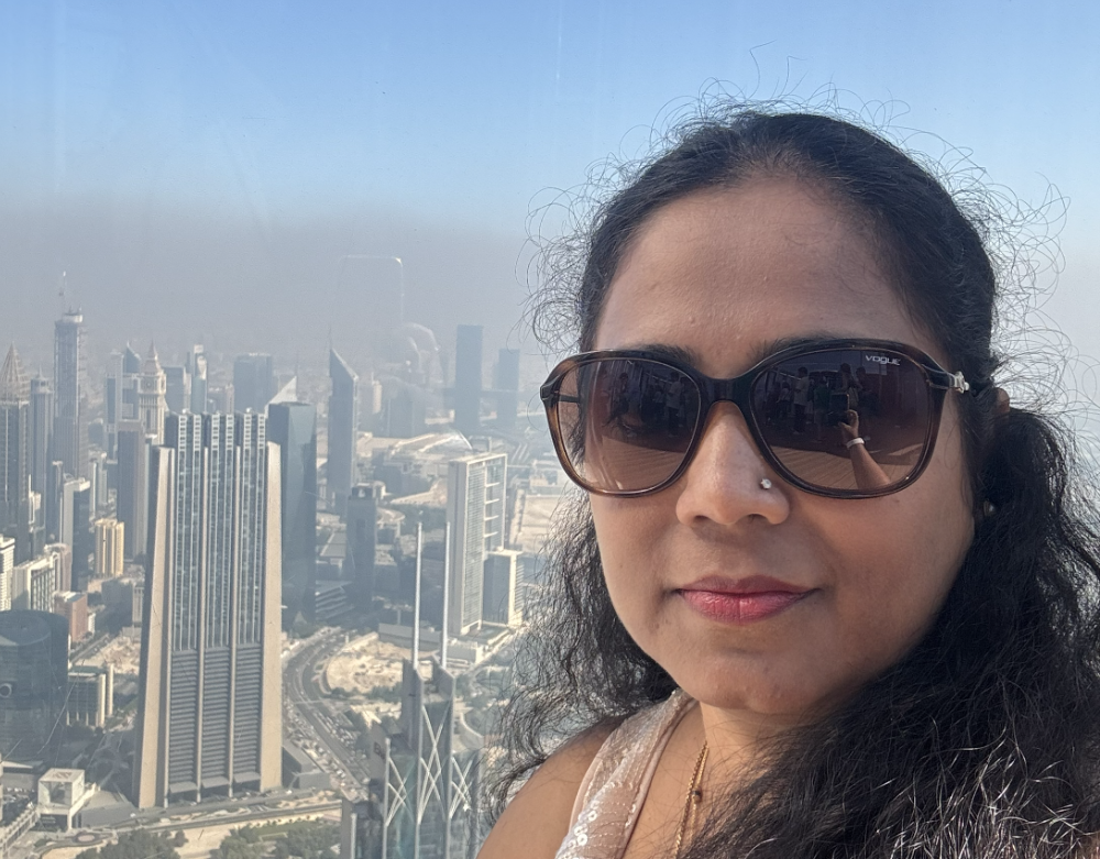 Vidya above the Dubai skyline